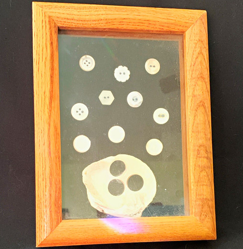 Shell button display - box, deep
